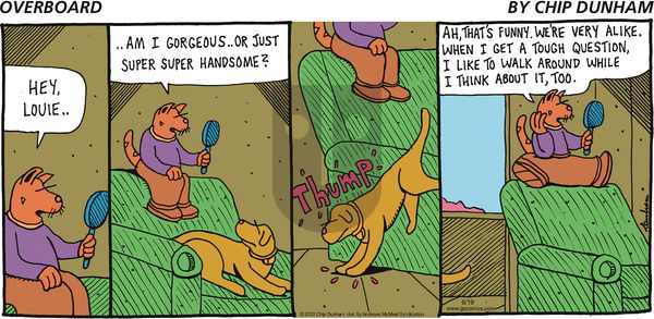 Overboard - Sunday June 19, 2022 Comic Strip