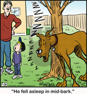 Marmaduke on Tuesday January 28, 2020 Comic Strip