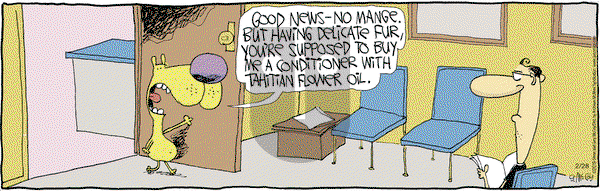 The Duplex on Thursday February 28, 2019 Comic Strip