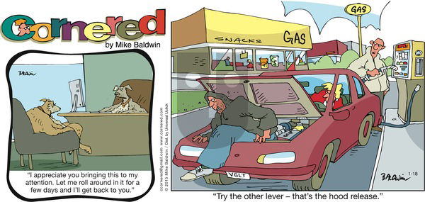 Cornered on Sunday January 18, 2015 Comic Strip