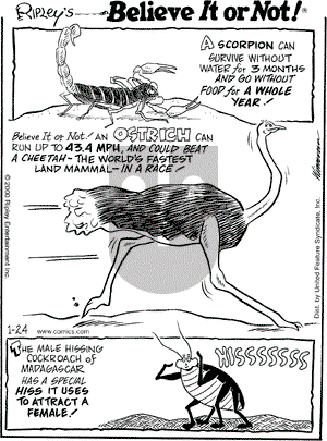 Ripley's Believe It or Not on Monday January 24, 2000 Comic Strip