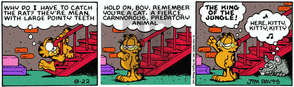 Garfield on Friday August 22, 1986 Comic Strip