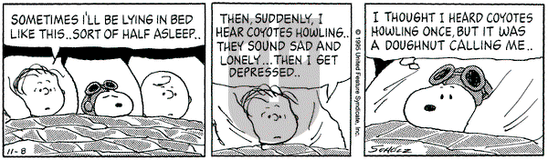 Peanuts on Wednesday November 8, 1995 Comic Strip