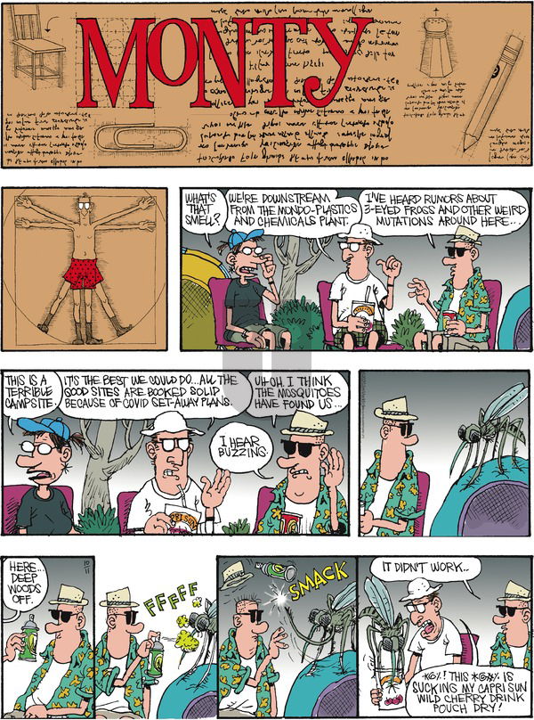 Monty on Sunday October 11, 2020 Comic Strip