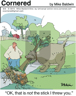 Cornered on Saturday June 6, 2015 Comic Strip