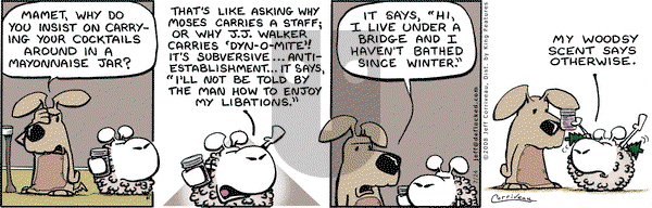 DeFlocked on Thursday July 24, 2008 Comic Strip