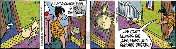 Rose is Rose on Wednesday July 17, 2019 Comic Strip