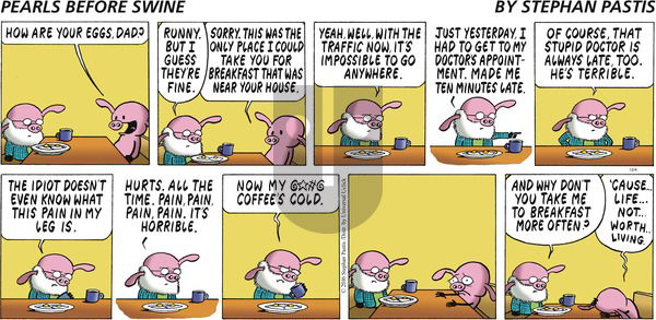 Pearls Before Swine - Sunday December 4, 2016 Comic Strip