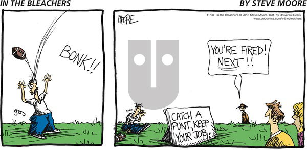 In the Bleachers on Sunday November 20, 2016 Comic Strip