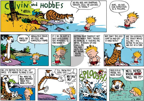 Calvin and Hobbes - Sunday June 12, 1988 Comic Strip
