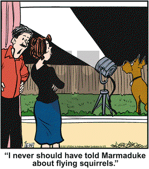 Marmaduke on Monday June 14, 2021 Comic Strip