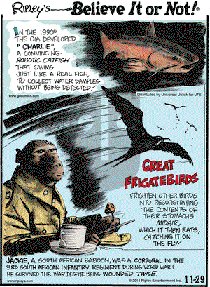 Ripley's Believe It or Not on Saturday November 29, 2014 Comic Strip