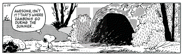 Peanuts on Monday June 29, 1998 Comic Strip