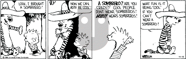 Calvin and Hobbes - Tuesday November 12, 1991 Comic Strip