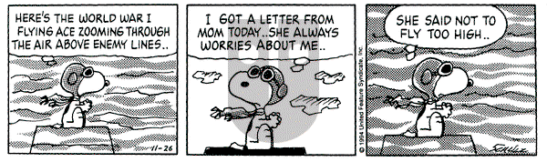 Peanuts on Saturday November 26, 1994 Comic Strip