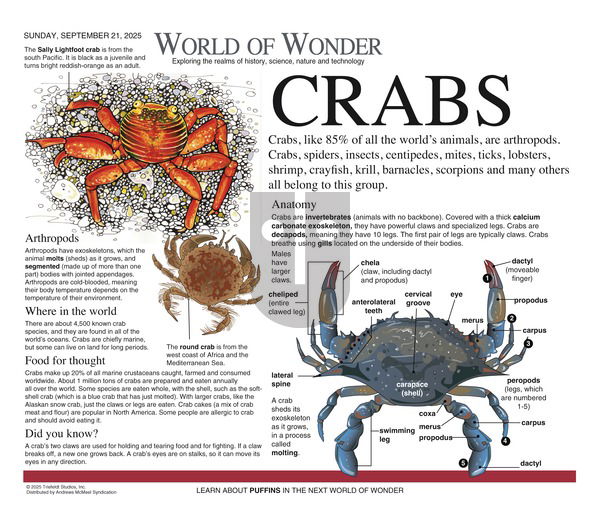 World of Wonder on Sunday September 21, 2025 Comic Strip