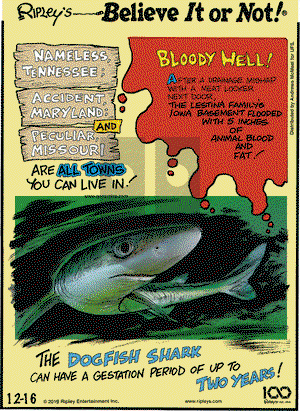 Ripley's Believe It or Not on Monday December 16, 2019 Comic Strip