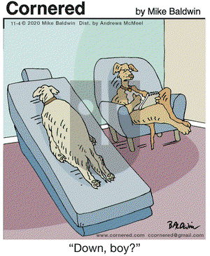 Cornered on Wednesday November 4, 2020 Comic Strip