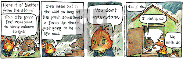 Breaking Cat News on Friday November 8, 2019 Comic Strip