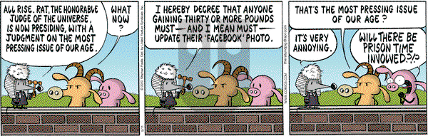 Pearls Before Swine - Tuesday May 11, 2010 Comic Strip