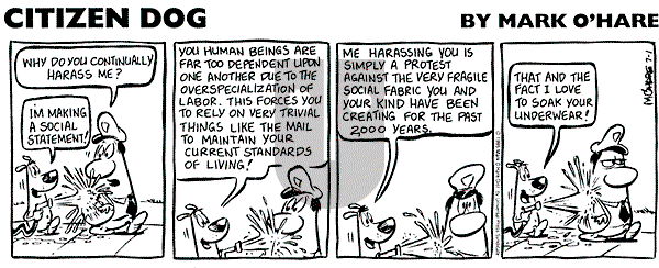 Citizen Dog on Friday June 13, 2025 Comic Strip