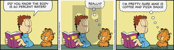 Garfield on Tuesday April 29, 2025 Comic Strip