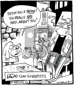Reality Check - Tuesday June 1, 1999 Comic Strip