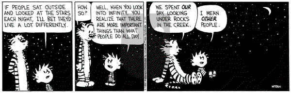 Calvin and Hobbes on Tuesday June 30, 1992 Comic Strip
