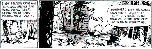 Calvin and Hobbes - Wednesday November 6, 2024 Comic Strip
