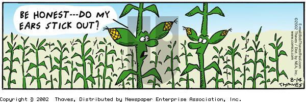 Frank and Ernest on Wednesday August 14, 2002 Comic Strip