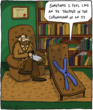The Argyle Sweater - Saturday January 27, 2007 Comic Strip