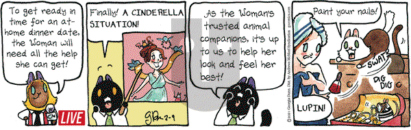 Breaking Cat News on Tuesday February 9, 2021 Comic Strip