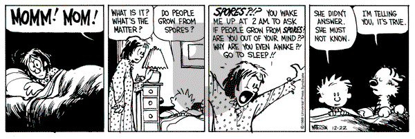 Calvin and Hobbes on Thursday December 22, 1988 Comic Strip