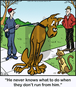 Marmaduke on Thursday February 18, 2016 Comic Strip