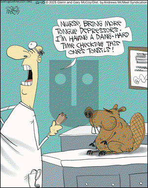 The Flying McCoys on Wednesday December 10, 2025 Comic Strip