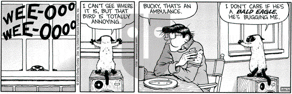 Get Fuzzy on Friday January 14, 2000 Comic Strip