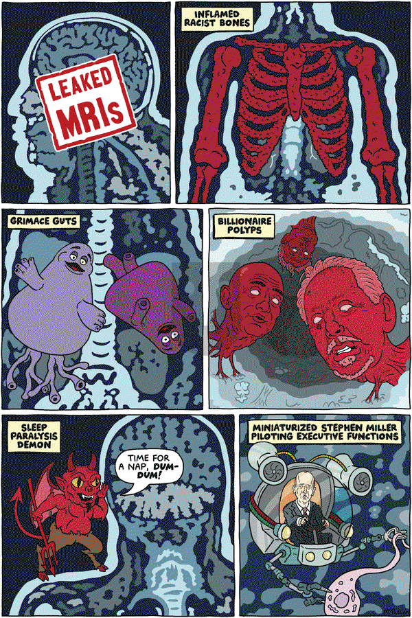 Brian McFadden on Monday December 8, 2025 Comic Strip