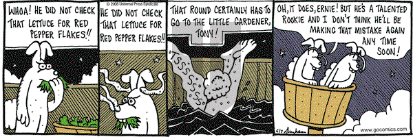 Overboard on Saturday June 7, 2008 Comic Strip