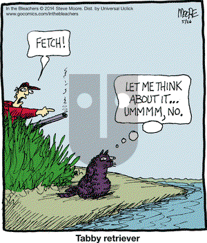In the Bleachers on Monday May 26, 2014 Comic Strip
