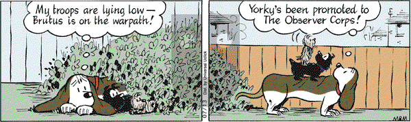 Fred Basset on Wednesday July 13, 2011 Comic Strip