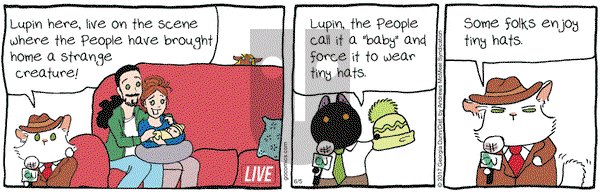 Breaking Cat News on Monday June 5, 2017 Comic Strip