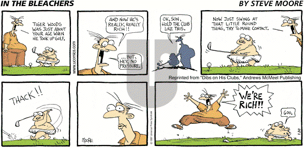 In the Bleachers - Sunday January 30, 2005 Comic Strip