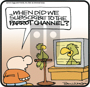 Ziggy on Wednesday January 11, 2012 Comic Strip