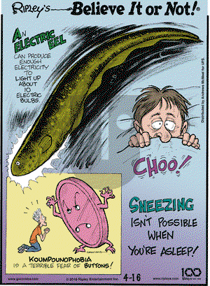 Ripley's Believe It or Not on Tuesday April 16, 2019 Comic Strip