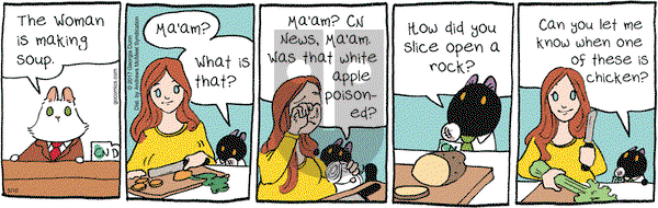 Breaking Cat News on Wednesday May 10, 2017 Comic Strip