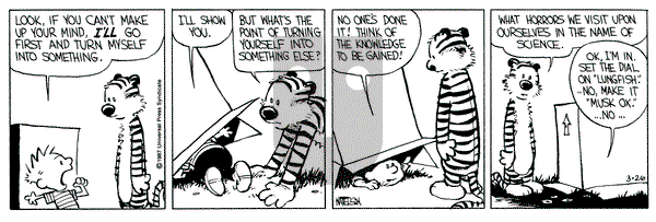 Calvin and Hobbes on Thursday March 26, 1987 Comic Strip