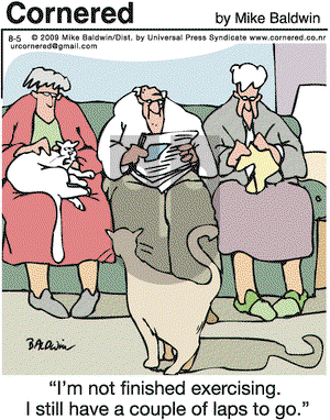 Cornered on Wednesday August 5, 2009 Comic Strip