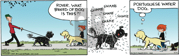 Red and Rover on Wednesday April 24, 2013 Comic Strip