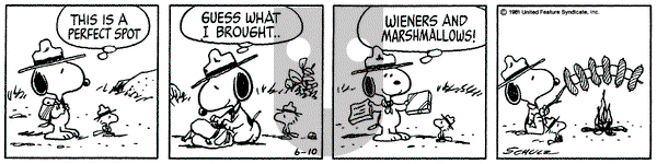 Peanuts on Wednesday June 10, 1981 Comic Strip
