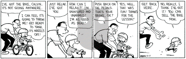 Calvin and Hobbes on 2025-06-17 Comic Strip